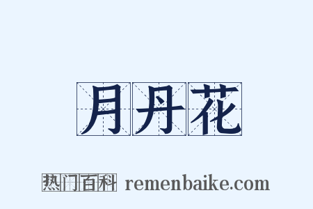 月丹花是什么意思的图片